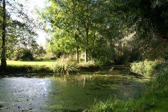 IMG_6166_l