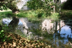 DSC05506